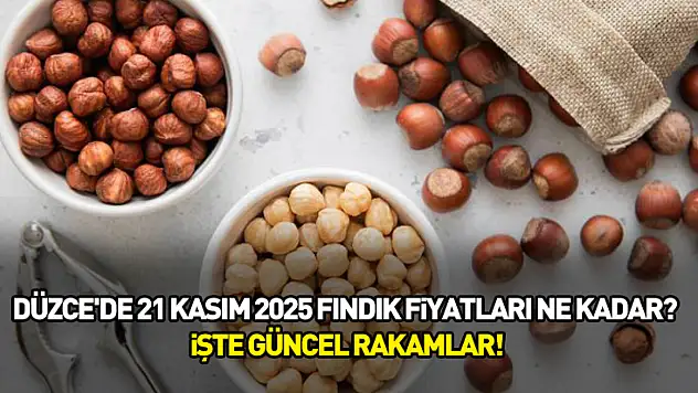 Düzce'de 21 Kasım 2025 fındık fiyatları ne kadar? İşte güncel rakamlar!
