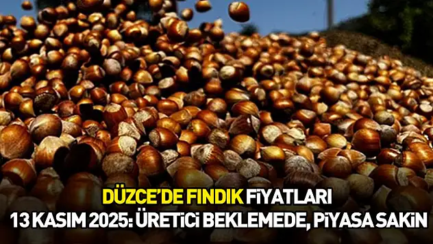 Düzce'de Fındık Fiyatları 13 Kasım 2025: Üretici Beklemede, Piyasa Sakin