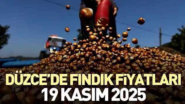 Düzce'de Fındık Fiyatları 19 Kasım 2025