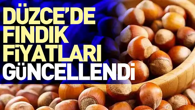 Düzce'de Fındık Fiyatları Güncellendi