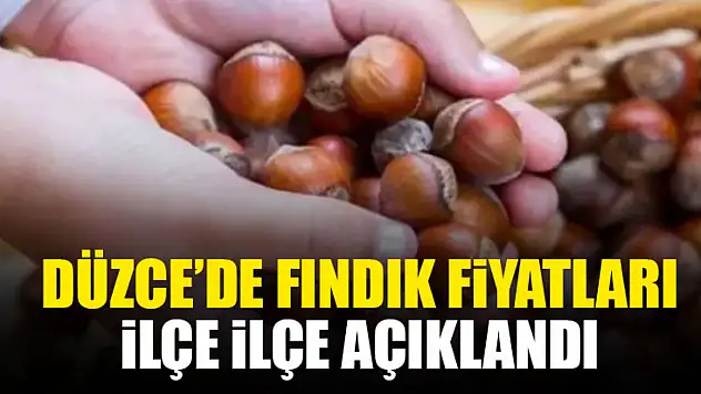 Düzce'de Fındık Fiyatları İlçe İlçe Açıklandı