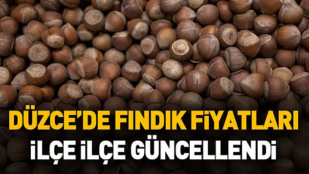 Düzce'de Fındık Fiyatları İlçe İlçe Güncellendi