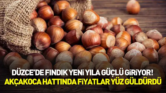 Düzce'de Fındık Yeni Yıla Güçlü Giriyor! Akçakoca Hattında Fiyatlar Yüz Güldürdü