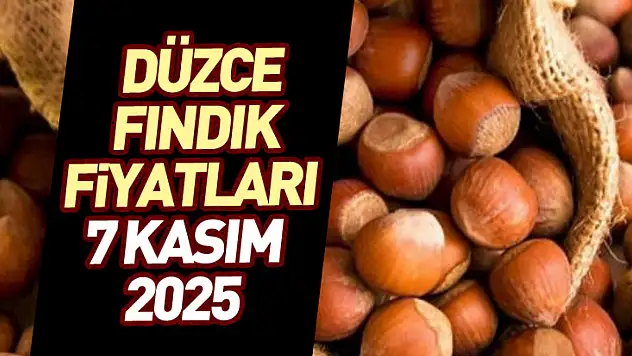Düzce Fındık Fiyatları 7 Kasım 2025: Üretici Beklemede, Piyasa Dengede!