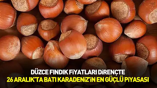 Düzce Fındık Fiyatları Dirençte | 26 Aralık'ta Batı Karadeniz'in En Güçlü Piyasası