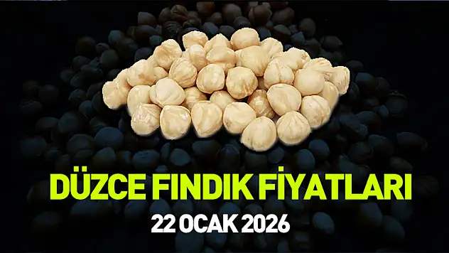 Düzce fındık piyasasında son durum! Fiyatlar toparlandı mı?