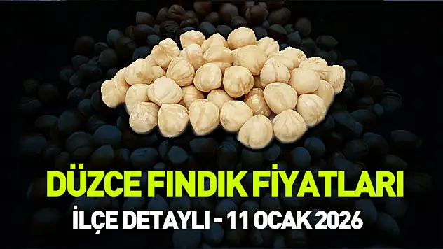 Düzce ve Akçakoca Fındık Fiyatları! 11 Ocak 2026 Güncel Piyasa