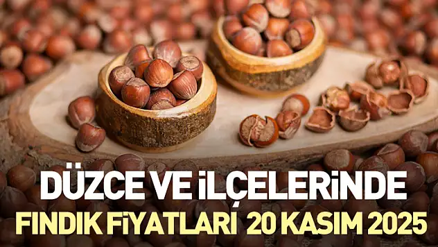 Düzce ve ilçelerinde Fındık Fiyatları 20 Kasım 2025
