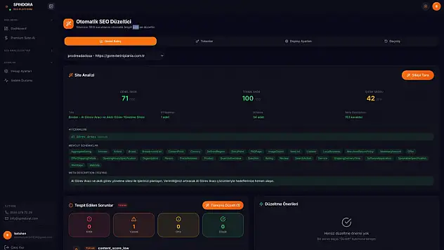E-Ticaret Sektöründe Arama Motoru Optimizasyonu: Online Satış Başarısının Temel Taşı spindorai.com seo aracının görevi