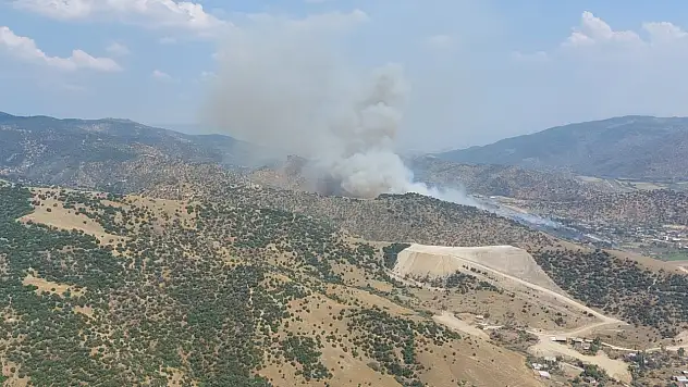 Efeler'de zirai alanda yangın