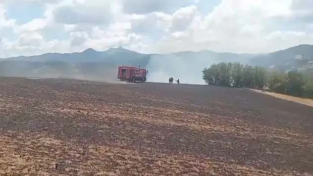 Elektrik tellerine çarpan kartal yangına sebep oldu