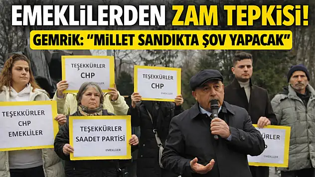Emeklilerden zam tepkisi! Gemrik 'Millet sandıkta şov yapacak'
