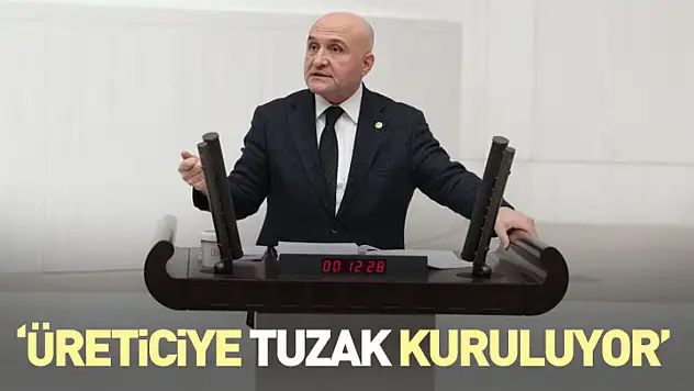 Erhan Usta'dan Fındık Rekoltesi ve Fiyatlarına Sert Tepki: 'Üreticiye Tuzak Kuruluyor!'