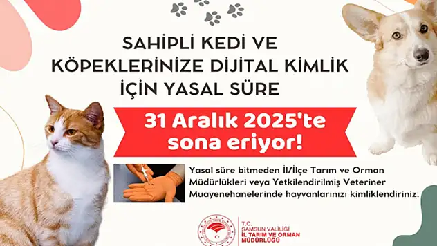 Evcil hayvan sahipleri dikkat! Son gün 31 Aralık