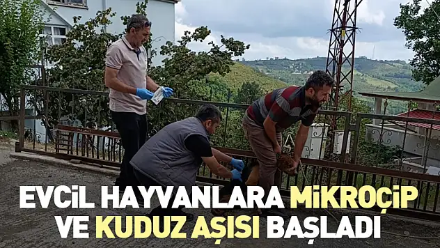 Evcil Hayvanlara Mikroçip ve Kuduz Aşısı Başladı