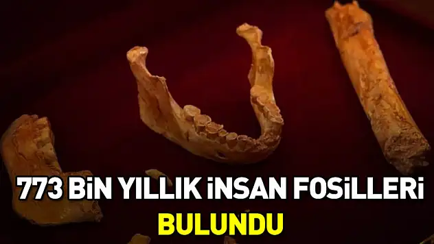 Fas'ta 773 bin yıllık insan fosilleri bulundu