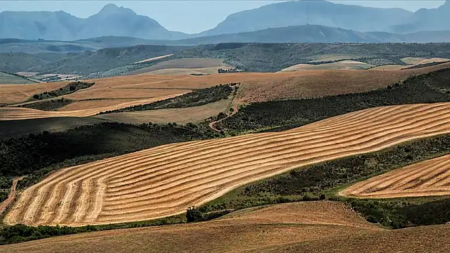 Fıkra gibi 2B süreci: Ne alan mutlu ne bekleyen