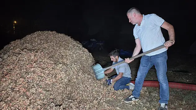 Fındığın bekçiliğini üretici yapıyor