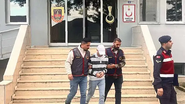 Fındık çalan zanlı tutuklandı