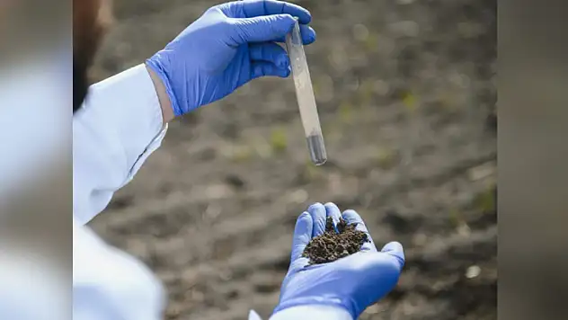 Fındık Hasadı Sonrası Çiftçilere Önemli Uyarı