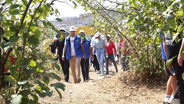 Fındık tarlası antrenman sahası oldu