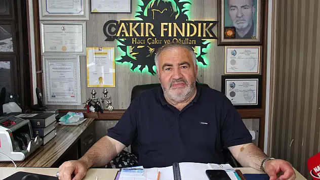 Fındıkta TMO ve Kokarca etkisi!