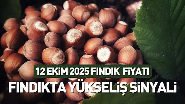 Fındıkta Yükseliş Sinyali: 12 Ekim Güncel Fiyatlar Açıklandı