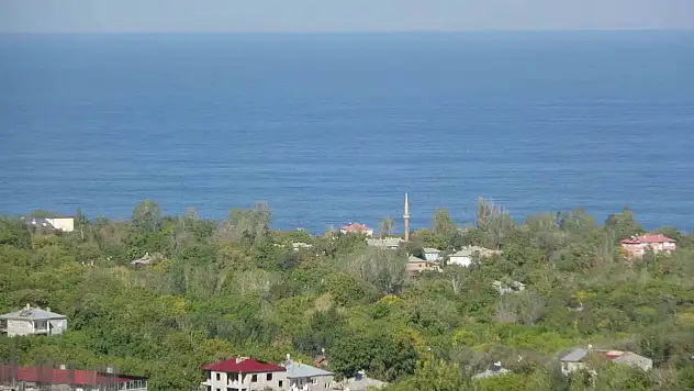 Gayrimenkul piyasası canlandı