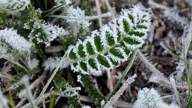 Gece oluşuyor, sabah her yeri beyaza bürüyor… Kırağı nedir, yağar mı, ne zaman ortaya çıkar?