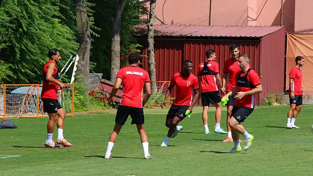 Gençlerbirliği Süper Lig'e Geri Döndü