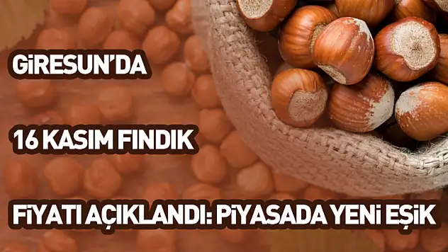 Giresun'da 16 Kasım fındık fiyatı açıklandı: Piyasada yeni eşik