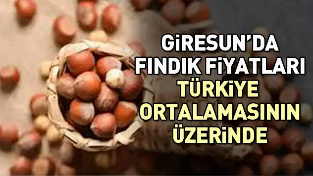 Giresun'da Fındık Fiyatları Türkiye Ortalamasının Üzerinde