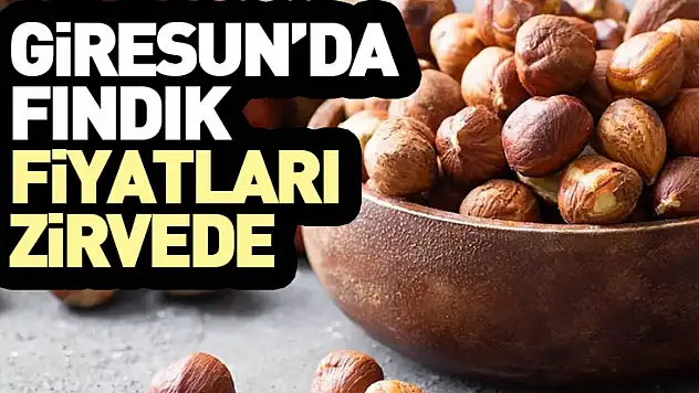 Giresun'da Fındık Fiyatları Zirvede