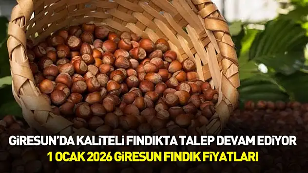Giresun'da Kaliteli Fındıkta Talep Devam Ediyor – 1 Ocak 2026 Giresun Fındık Fiyatları
