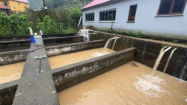 Giresun'da sağanak ve heyelanlar yaşamı olumsuz etkiledi
