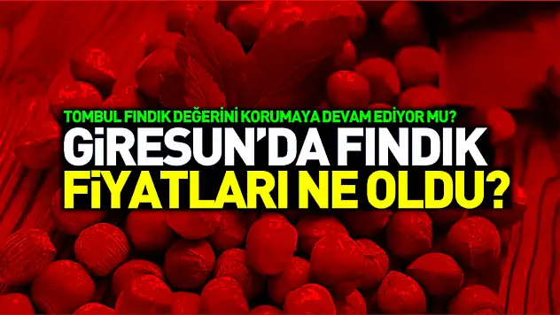 Giresun fındık fiyatları 7 Kasım 2025: Tombul fındık değerini korumaya devam ediyor mu?