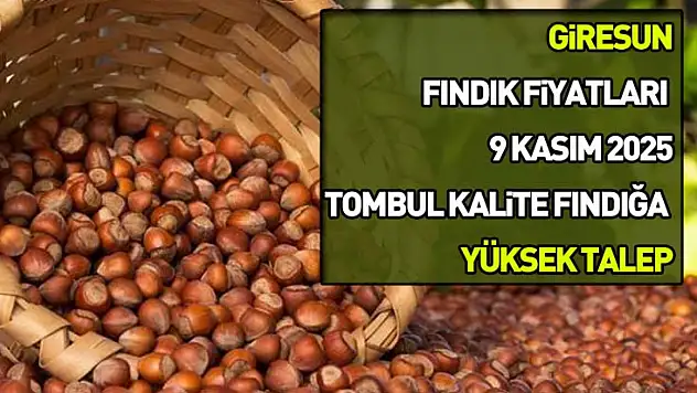 Giresun Fındık Fiyatları 9 Kasım 2025: Tombul Kalite Fındığa Yüksek Talep