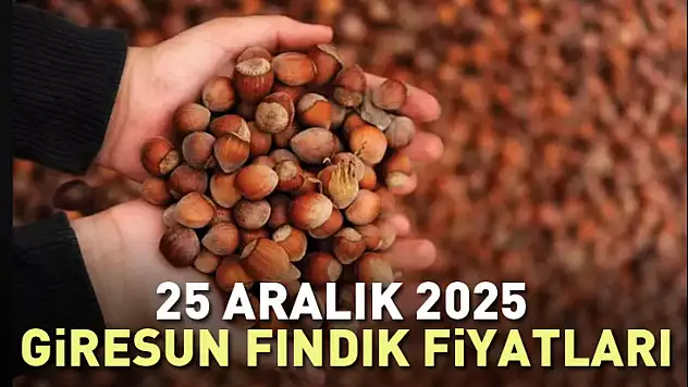 Giresun Fındık Fiyatları Zirvede Kilitlendi | 25 Aralık'ta Psikolojik Eşik Aşılıyor mu?
