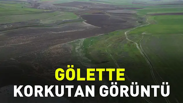 Gölette Korkutan Görüntü