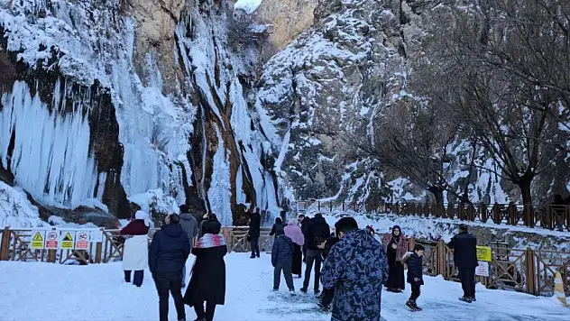 Gürpınar Şelalesi buz tuttu