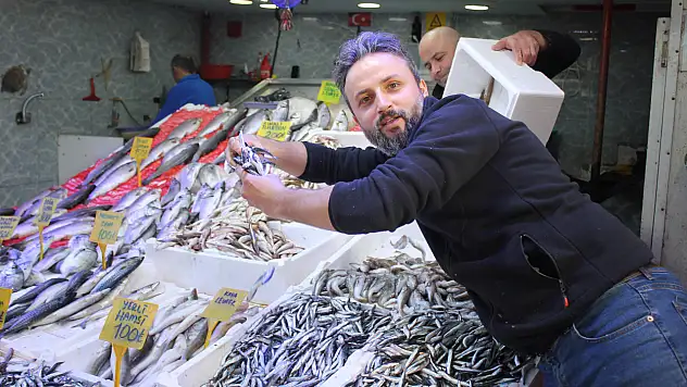 Hamsi Bolluğu Başladı 'Fiyatlar Yarı Yarıya Düştü'