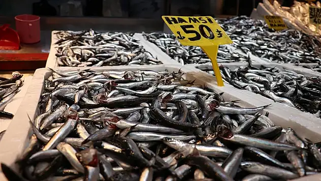 Hamsi bolluğu fiyatlara yansıdı