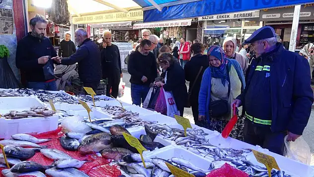 Hamsinin kilosu 100 TL'ye düştü