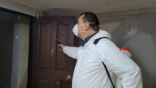 Haşere ilaçlama nasıl yapılmalı?  ilaçlama uzmanı anlattı