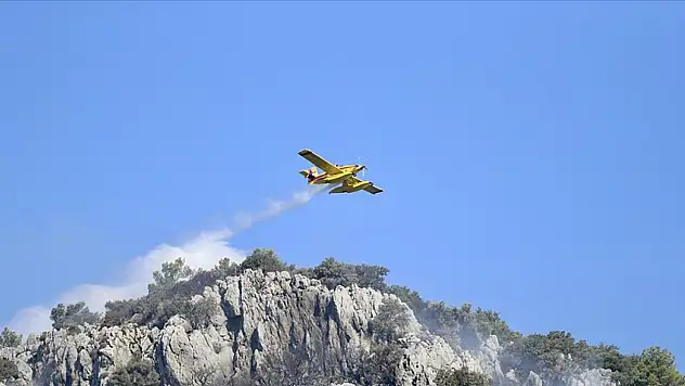 Havadan ve karadan müdahale