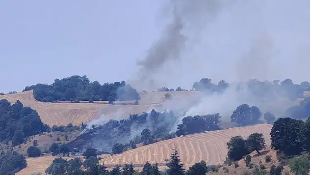 Havza'da anız yangını ormana sıçradı