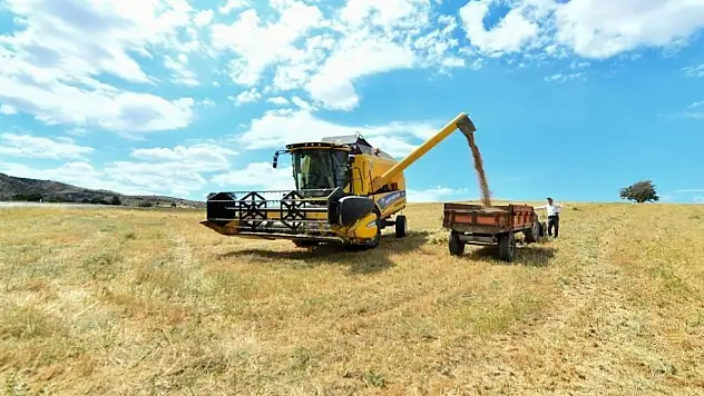 Hayvancılığa Yem Desteği Geliyor