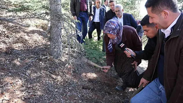 'Her mantar toplanmaz'