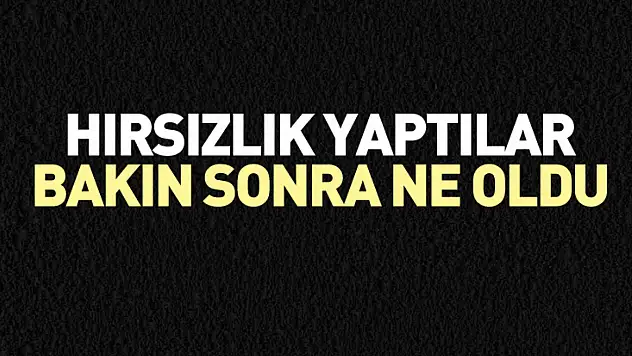 Hırsızlık yaptılar bakın sonra ne oldu