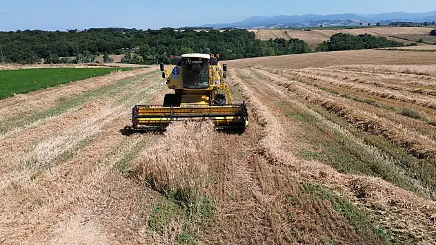 Hububat hasadına başlandı